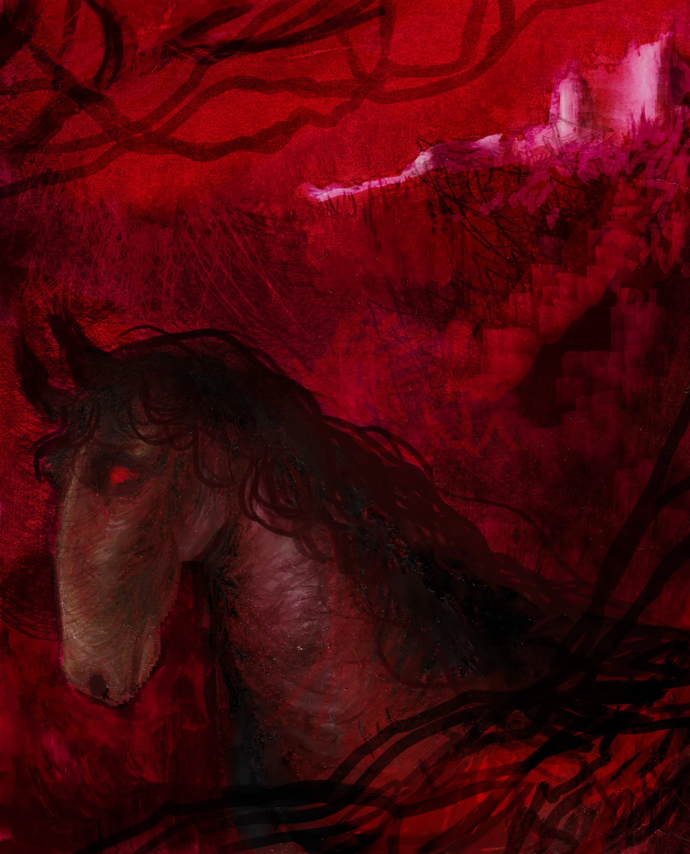Elizabeth Báthory series
